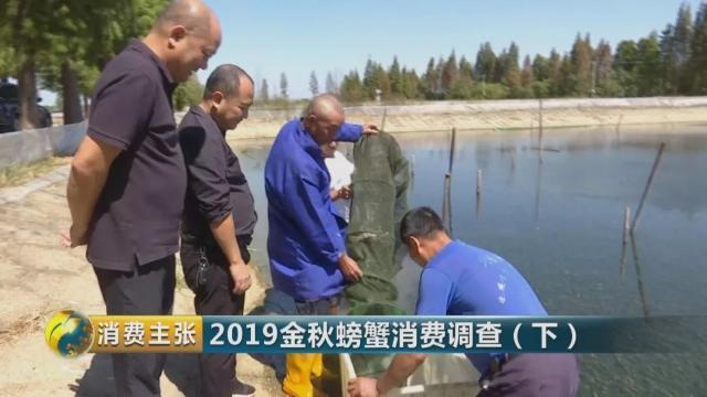 不知怎样辨别真假阳澄湖大闸蟹？记住这一个方法就够了→