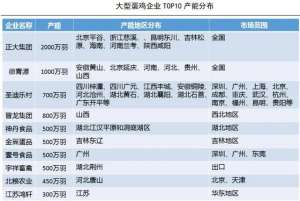 武汉蛋鸡养殖基地(最新统计中国蛋鸡存栏量TOP10)