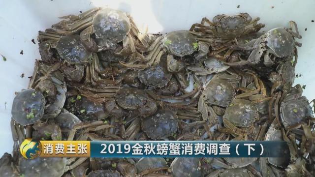 不知怎样辨别真假阳澄湖大闸蟹？记住这一个方法就够了→