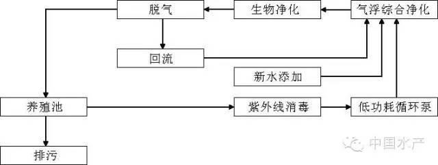 海水工厂循环水健康养殖技术及注意事项