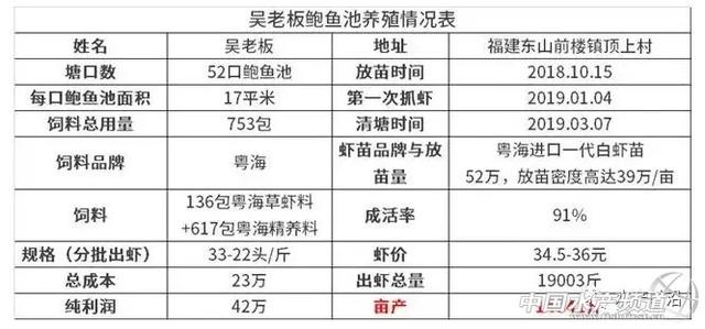 用鲍鱼池养虾，亩产14000斤！