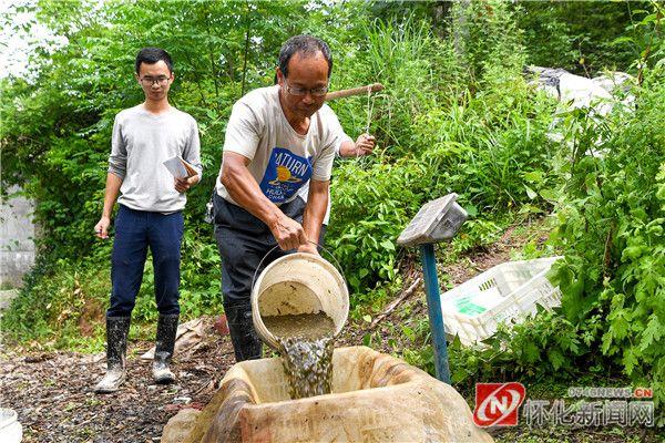 图说怀化｜青蛙生态养殖助力乡村振兴