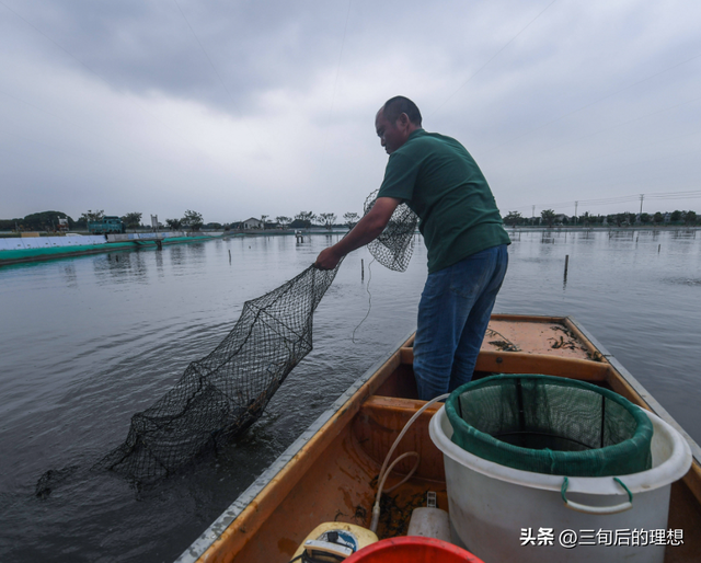 水产养殖与循环水系统，促进资源有效利用，实现可持续养殖发展