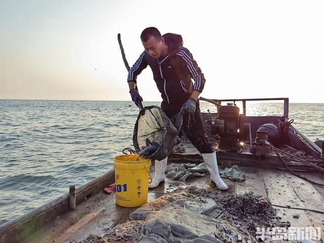 桂东出海记丨一网情深！最后1万多斤黑头上岸后，这片养殖区域将说再见