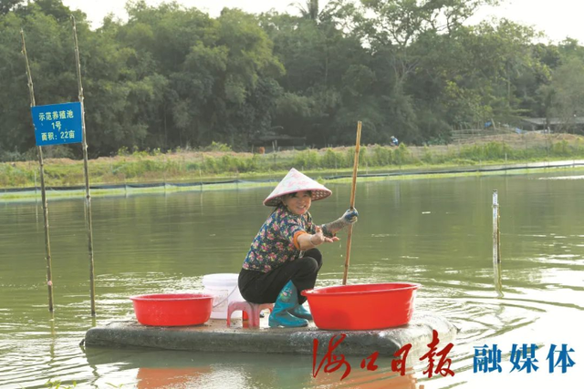 海口立足“特”字挖潜力，打造特色农业名片