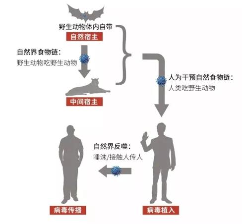 “拒食野生动物”，征集令来了