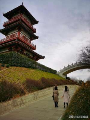 盆栽月月桂花怎么养殖(我家有个后花园，一年四季基本都有花开，你知道吗？)