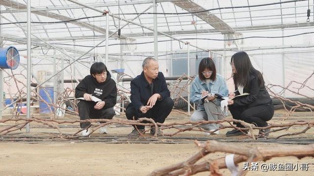 辽宁省第一家葡萄科技小院——营口市鲅鱼圈区葡萄科技小院