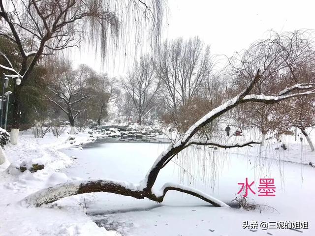 我家有个后花园，一年四季基本都有花开，你知道吗？