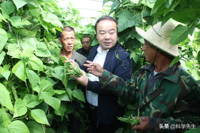 一心奉献为农家——记农业农村部挂职干部张天佑