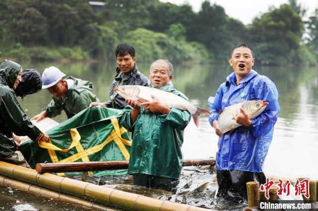 江西上高：鱼跃人欢喜增收