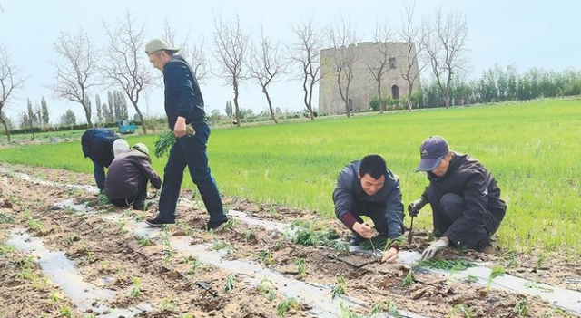 请你停止讹传！农民考农艺工证好处多，但不是要考农民证或种地证