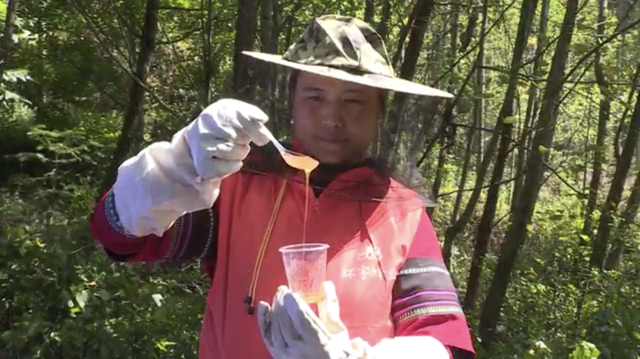 红河县：在山林间酝酿致富“蜜”方