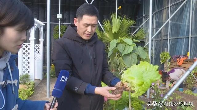 “鱼菜共生”：新型大棚经济又好看