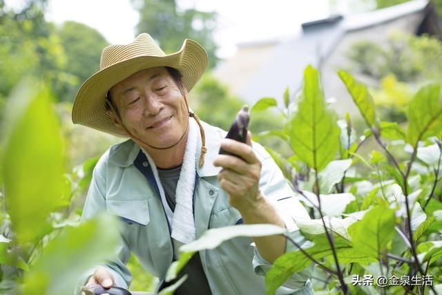 我的朋友从企业高管到一个小龙虾养殖专业户，他一夜白了头