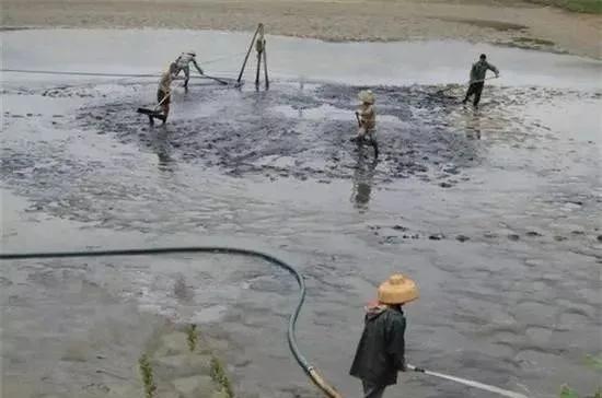 高温多雨天气下，池塘如何科学改底你知道吗？