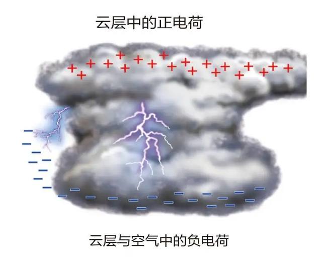 广东茂名雷电劈死7头牛，损失10多万！牛尸发胀如气球会爆炸吗？