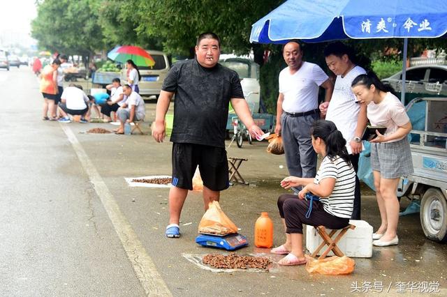 茌平有了知了猴市场 人人爱吃知了猴