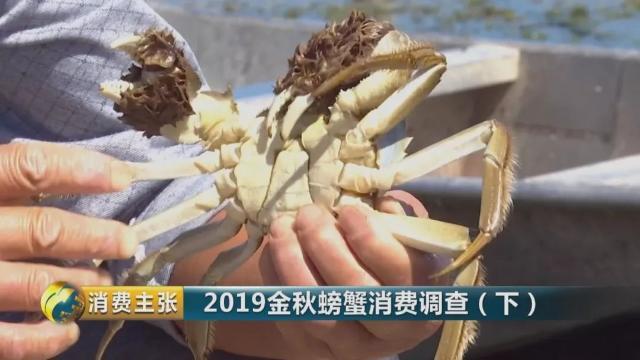 不知怎样辨别真假阳澄湖大闸蟹？记住这一个方法就够了→