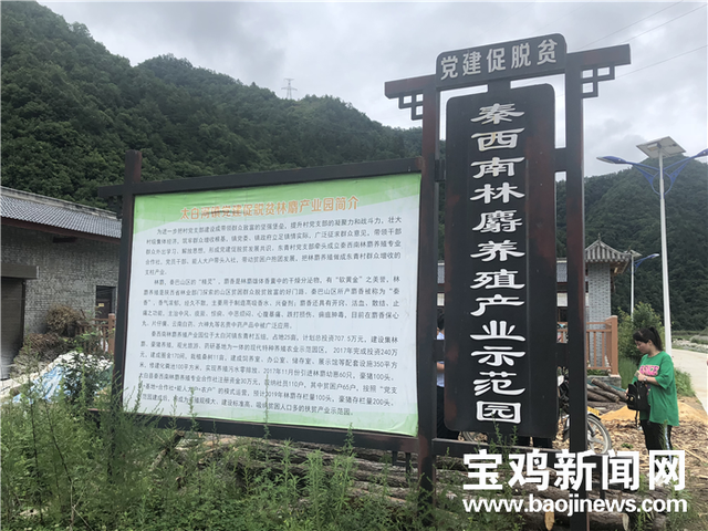 林麝养殖助脱贫 宝鸡太白群众走上致富路