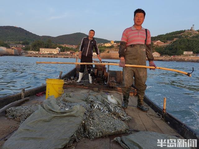 桂东出海记丨一网情深！最后1万多斤黑头上岸后，这片养殖区域将说再见