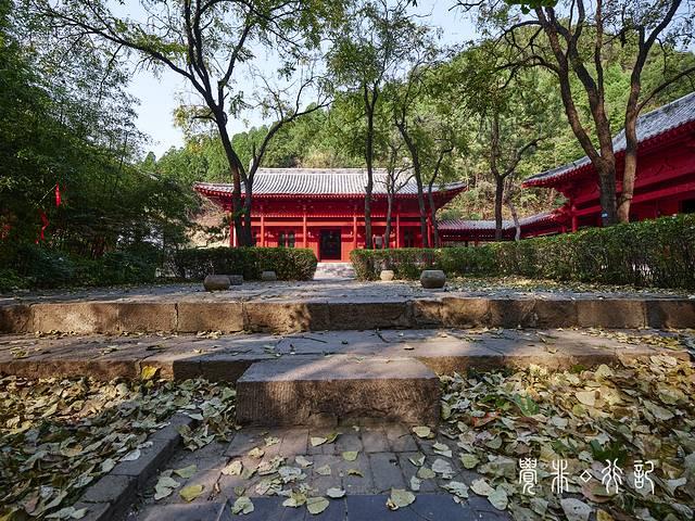 特种兵游山东，吃美食看美景