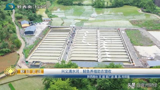 「财经关注」兴义清水河：鲟鱼养殖助农增收