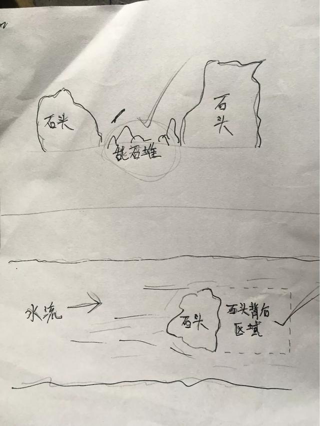 淡水鱼介绍系列之（十一）刺鳅