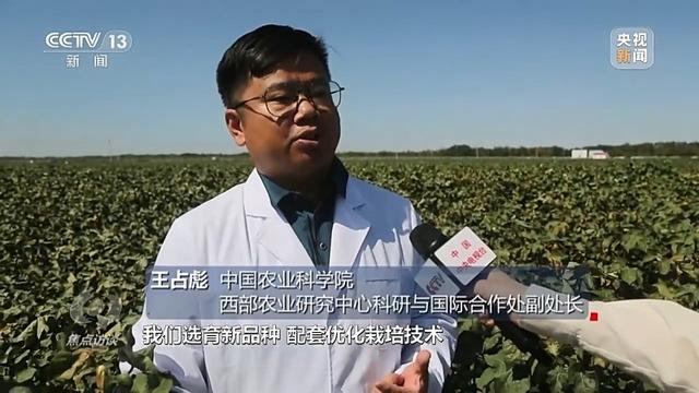 焦点访谈丨深耕科技沃土 培植智慧农业