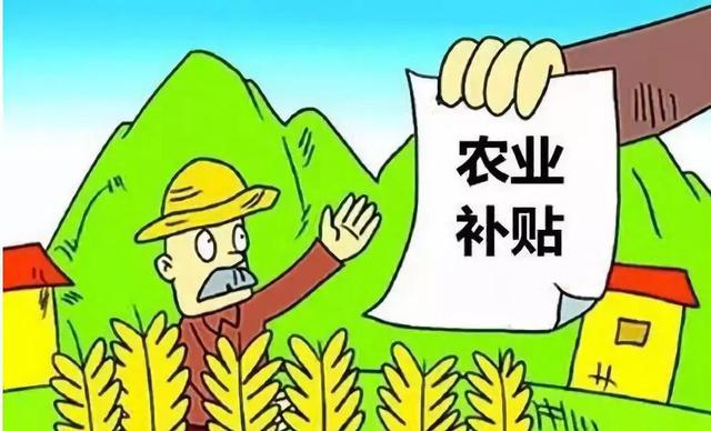 “粮补”升级！200亿补贴已发放，5个好消息，又发钱了？