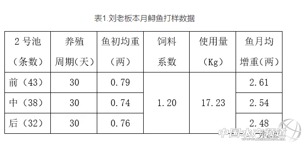 鲟鱼养殖微利时代，这样致富更加可靠