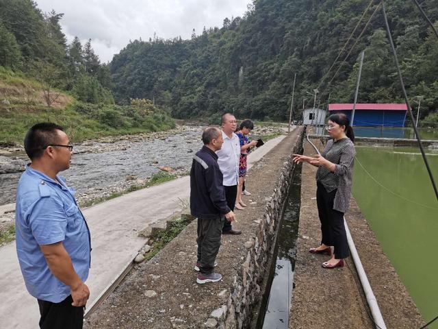 开通“绿色通道”保障生猪养殖项目用电无忧 助力贫困群众奔小康