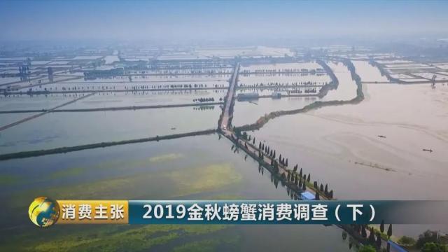 不知怎样辨别真假阳澄湖大闸蟹？记住这一个方法就够了→