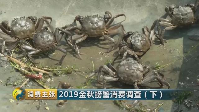 不知怎样辨别真假阳澄湖大闸蟹？记住这一个方法就够了→