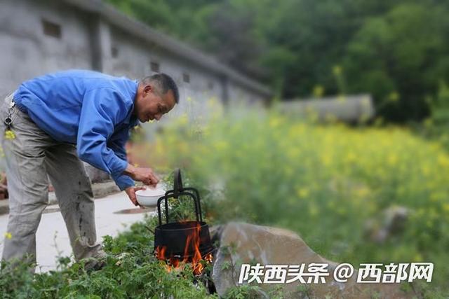 视频丨石泉男子返乡创业，投百万养万只蛋鸡，一天捡8千个鸡蛋