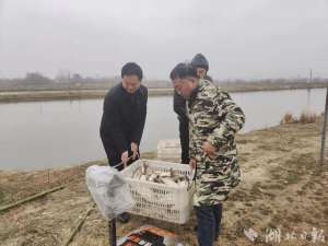 湖北淡水鱼养殖基地(【悦·广水】陈巷镇梧桐村：“家鱼稻米”“农家黑猪”这里买……)