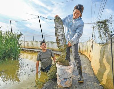 夫妻返乡 致富有方