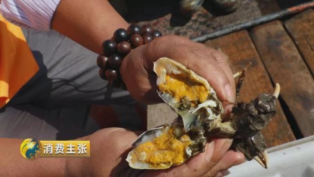 不知怎样辨别真假阳澄湖大闸蟹？记住这一个方法就够了→