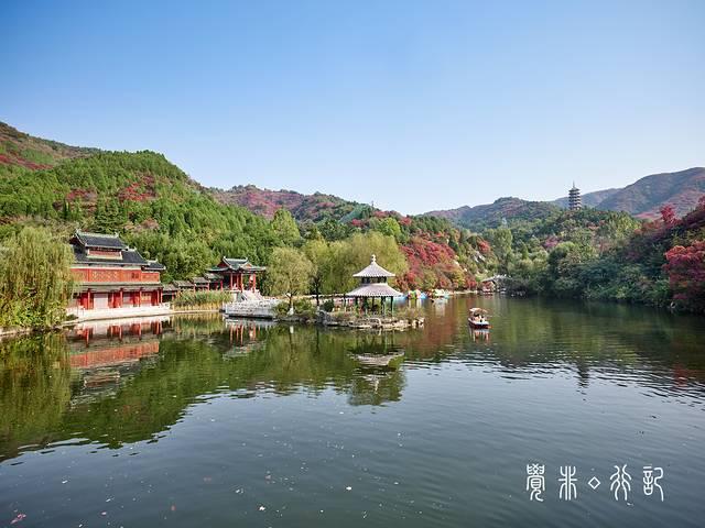 特种兵游山东，吃美食看美景