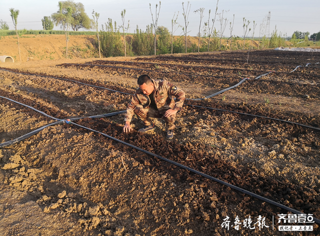 牛粪变废为宝，枣庄这个村用牛粪养蚯蚓“爬出”乡村振兴新路子