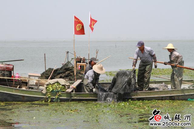 太湖清拆围网，不留一片网不留一根桩