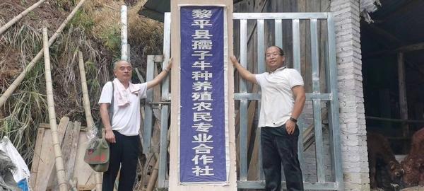 黔东南黎平：“税力量”护航农村产业发展 助力乡村振兴