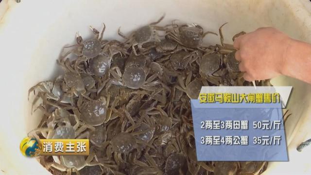 不知怎样辨别真假阳澄湖大闸蟹？记住这一个方法就够了→