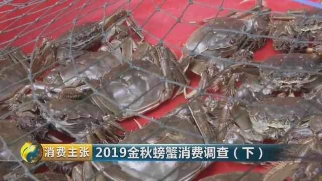 不知怎样辨别真假阳澄湖大闸蟹？记住这一个方法就够了→