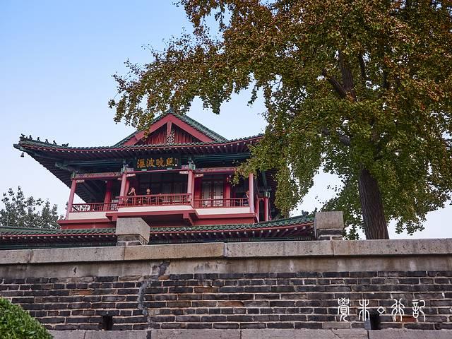 特种兵游山东，吃美食看美景