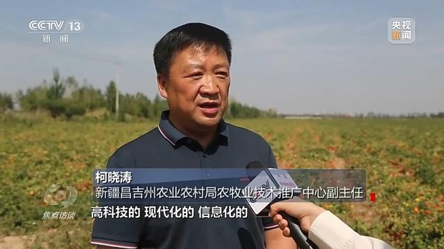 焦点访谈丨深耕科技沃土 培植智慧农业