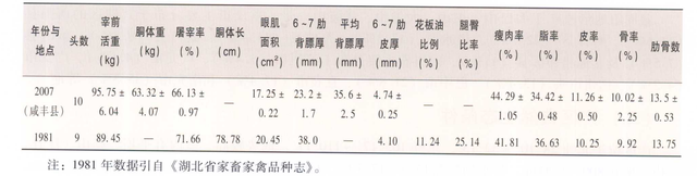 恩施黑猪