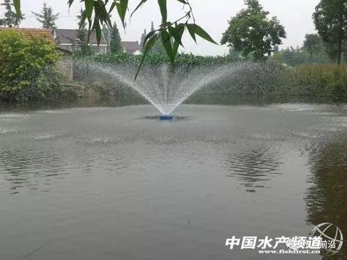 终于把水产养殖“溶解氧”讲透了，通俗易懂请收藏！