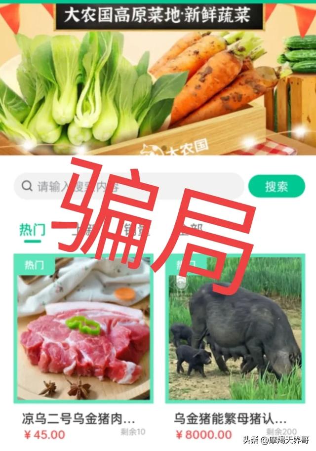 山河乌金猪认养骗局已限制提现，离崩盘仅一线之遥