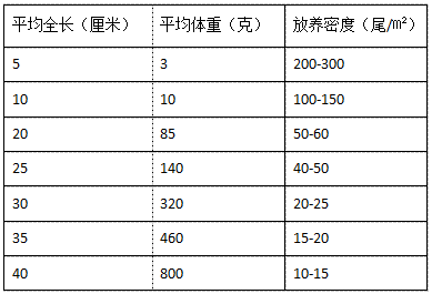 海水工厂循环水健康养殖技术及注意事项